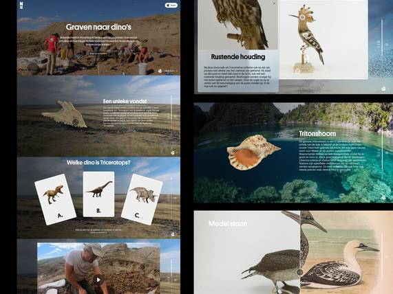 Examples expeditions from Naturalis online collection