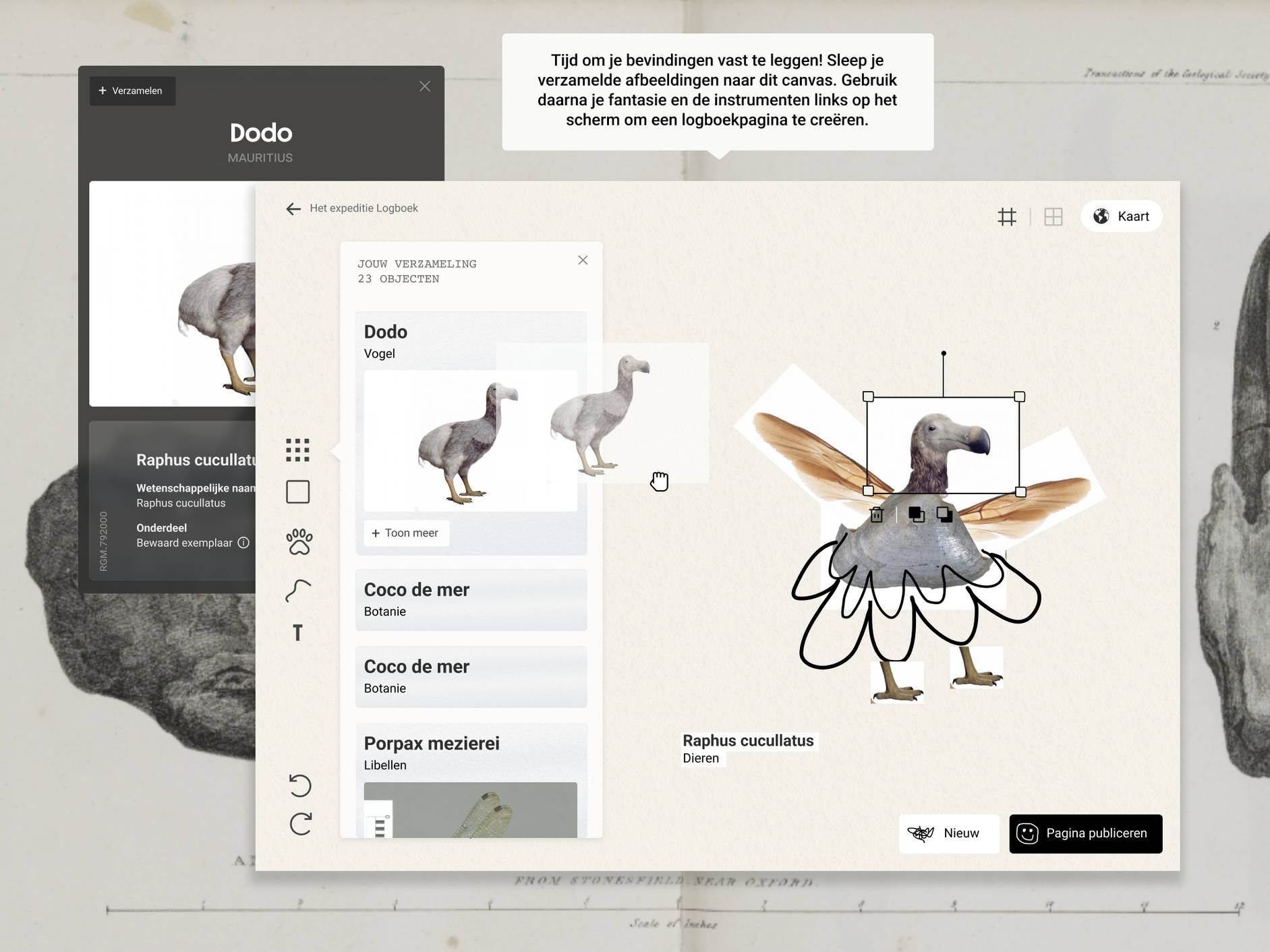 Design log expedition online for Naturalis by Fabrique