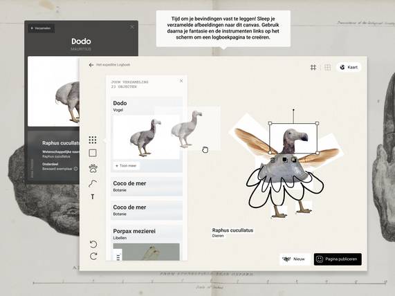 Design log expedition online for Naturalis by Fabrique