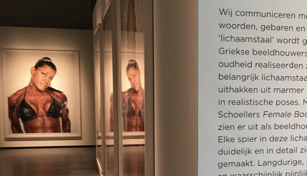 Museum wall text Fabrique