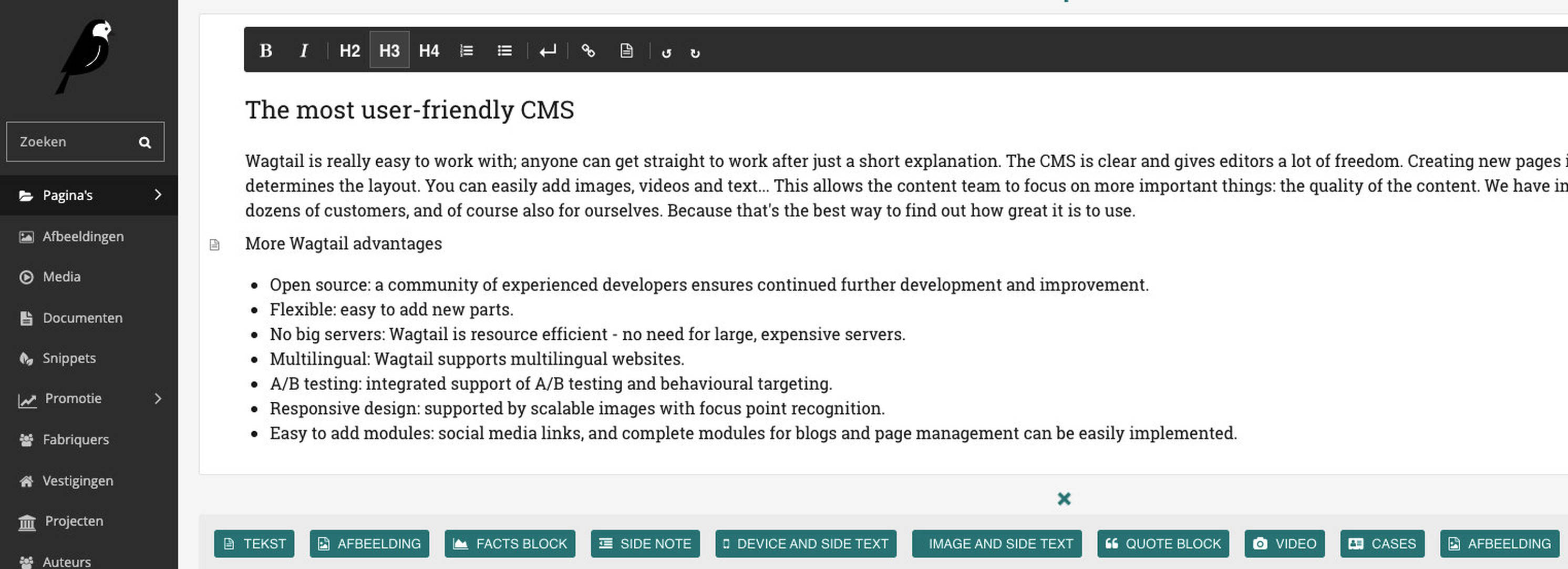 Screenshot text editor Wagtail CMS