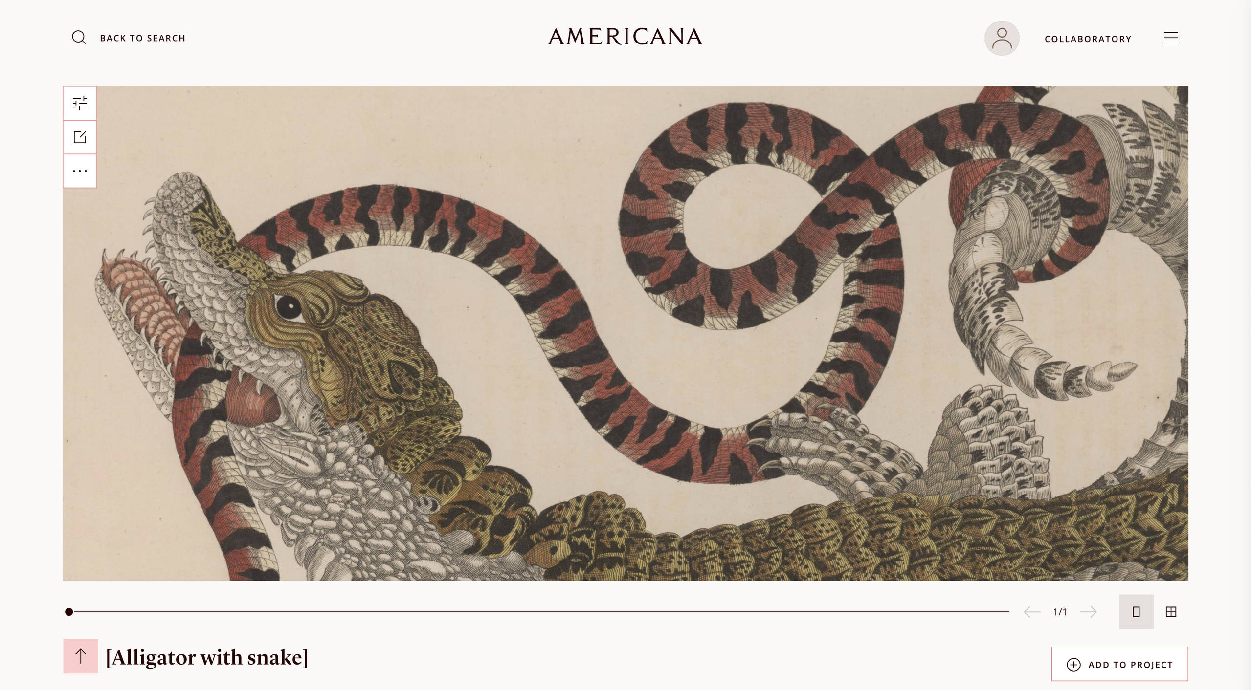 Example object image crocodile and snake